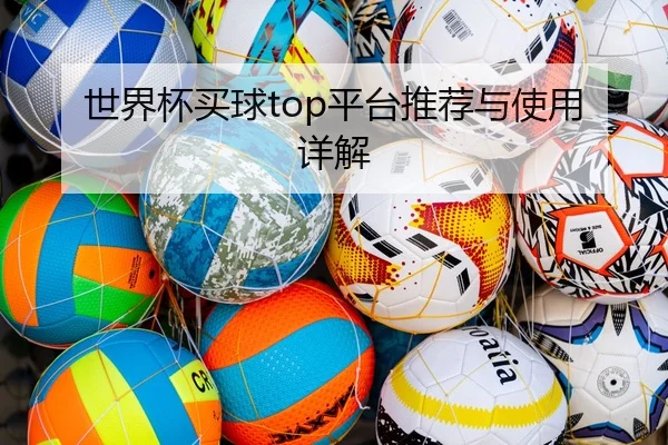 世界杯买球top平台推荐与使用详解