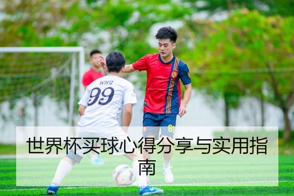 世界杯买球心得分享与实用指南